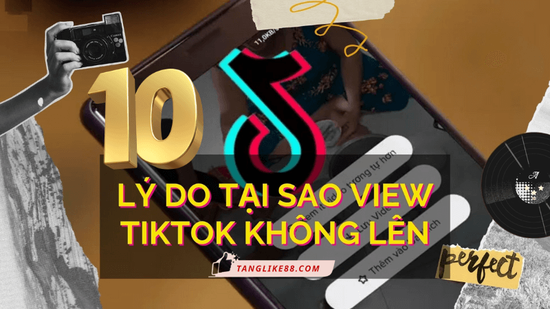 TikTok không lên view? 10 lý do & Cách xử lý tốt nhất 2025