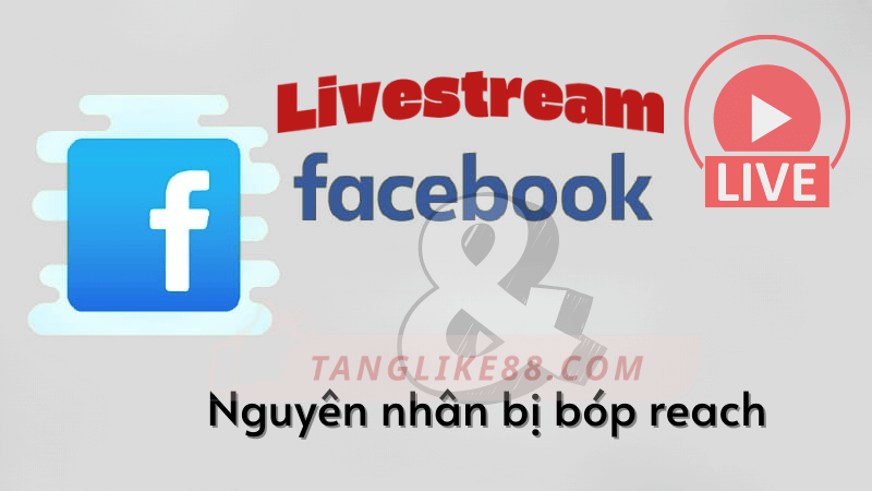 Livestream Facebook bị bóp reach? Những nguyên nhân ít ai nói tới