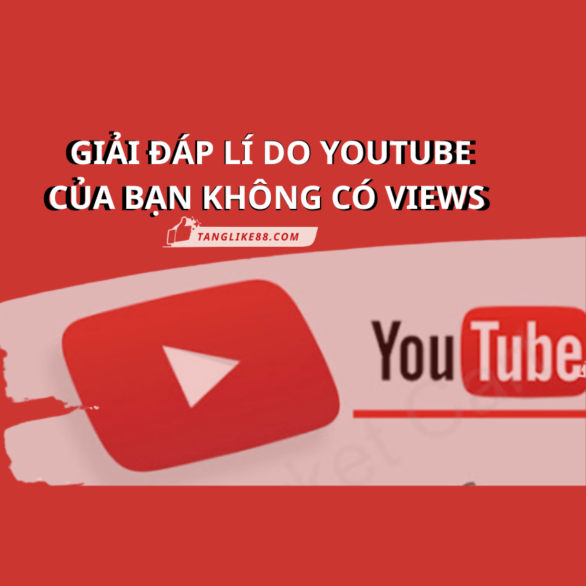 YouTube không có view? 10 lý do & cách xử lý ngay lập tức