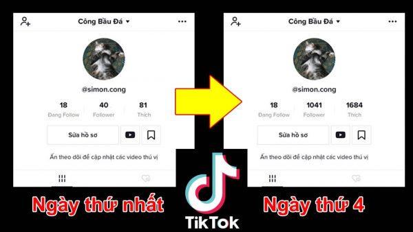 Bạn có thể tìm các hội nhóm trao đổi tăng like Tiktok