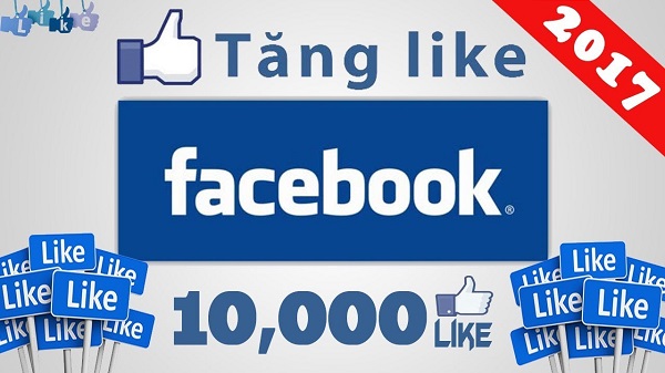 Tăng like facebook cá nhân sẽ giúp bạn mở rộng các mối quan hệ