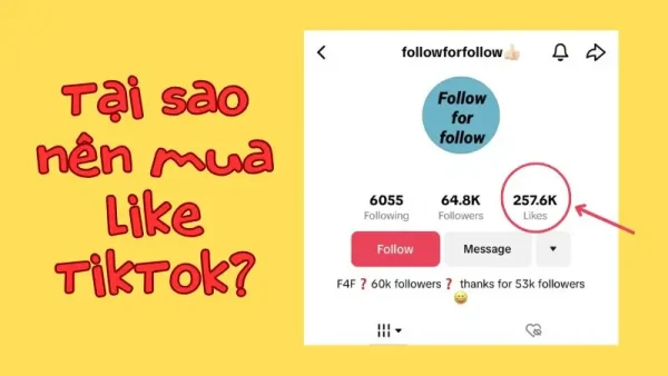 Mua like TikTok vì sao cần thiết?